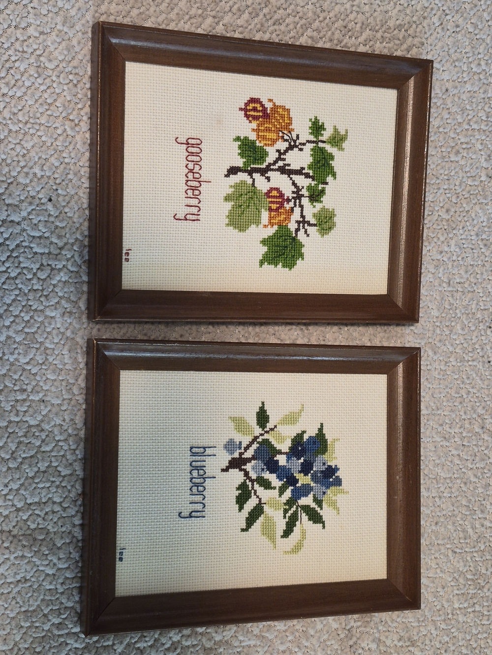 Set of 2 Vintage "lee" Fruit Cross Stitch Framed Art